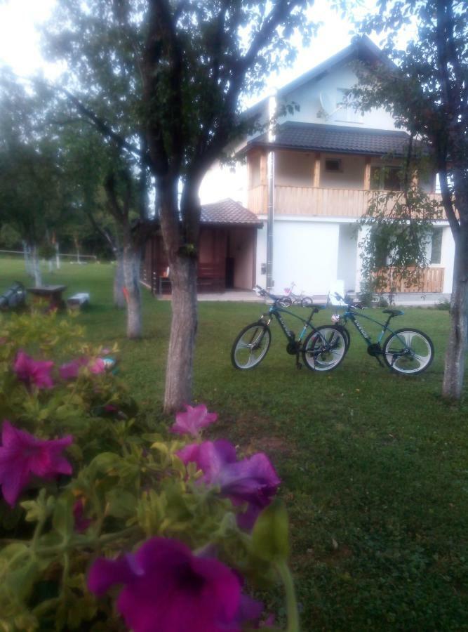 Paradise *